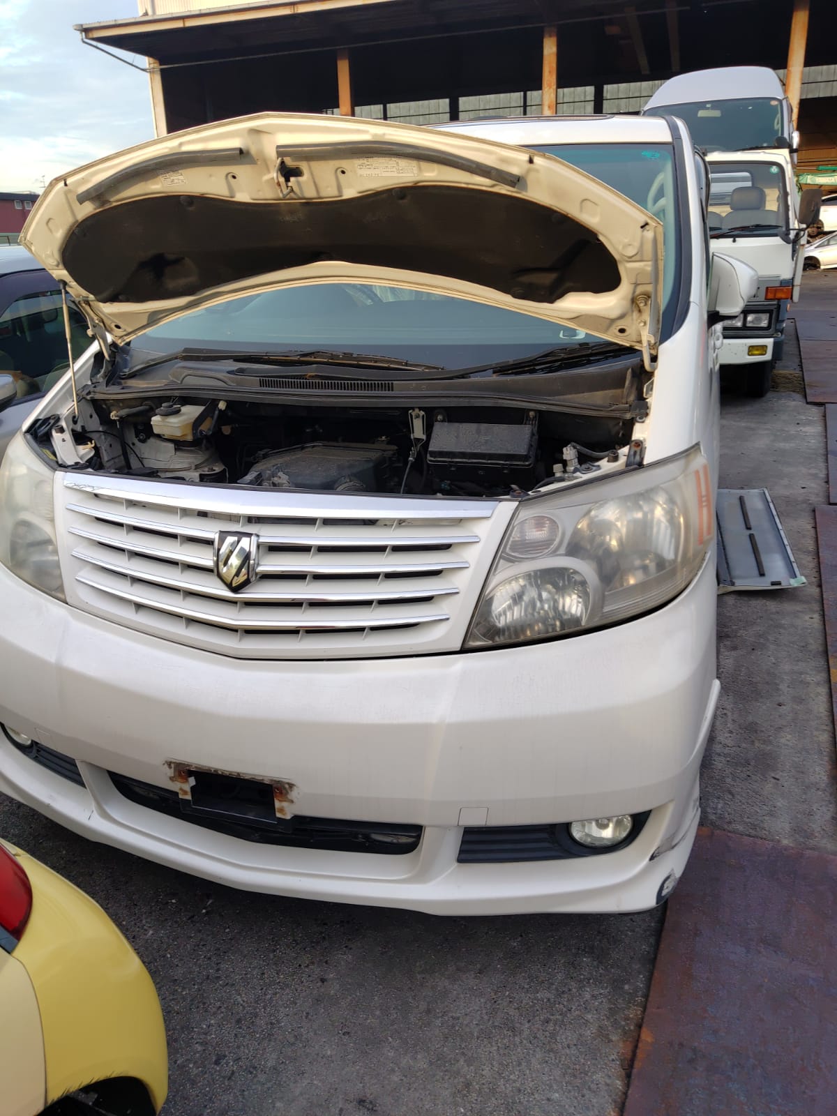 Toyota Alphard ANH10