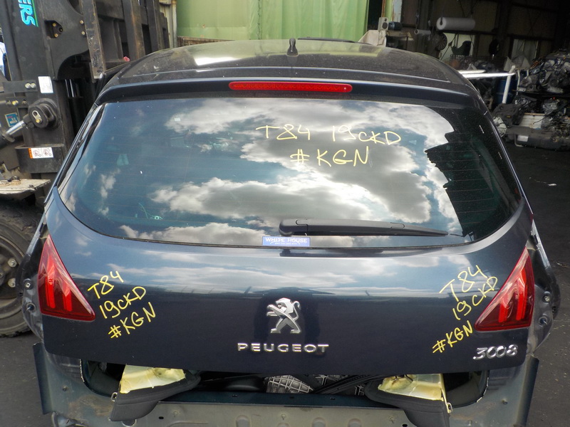 Дверь задняя Peugeot 3008