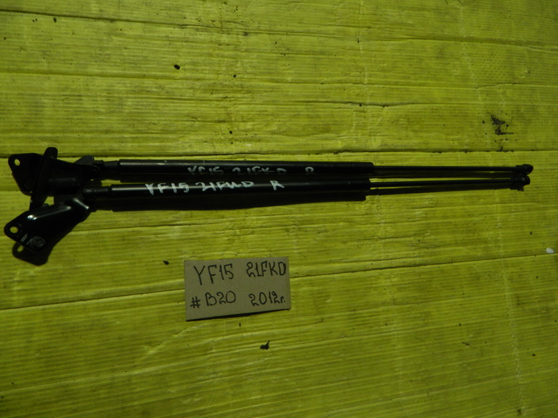 Амортизатор задней двери Nissan Juke YF15