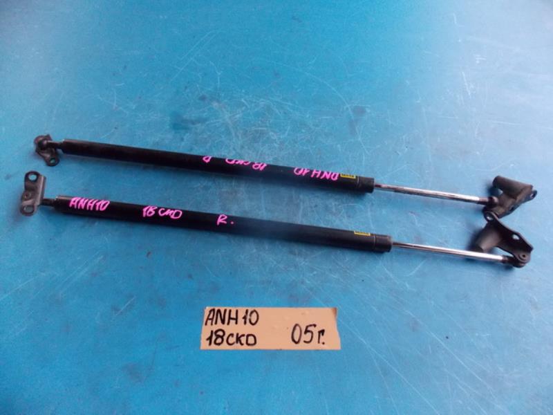 Амортизатор задней двери Toyota Alphard ANH10