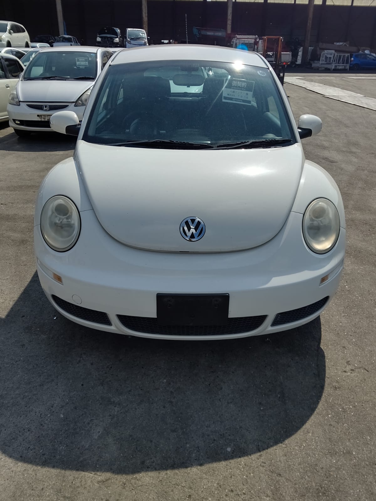 Volkswagen Beetle 9C1